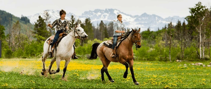 Confident plus-size woman riding Hertfordshire a horse through a field with a smile on her face.